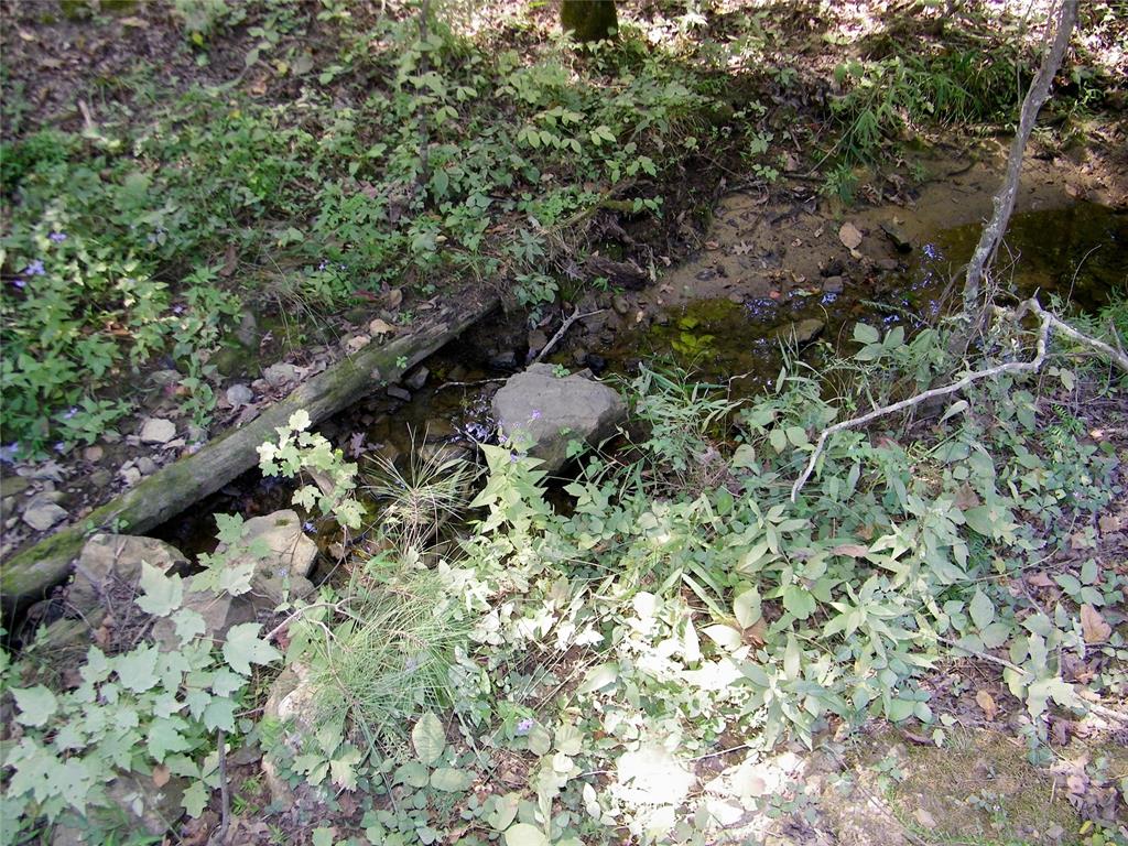 Ne 155th Street Property Photo 32