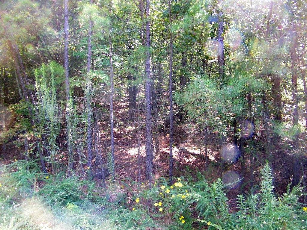 Ne 155th Street Property Photo 33