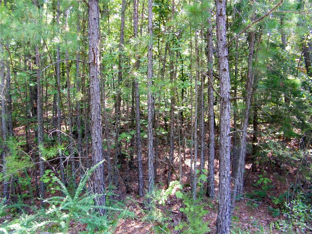 Ne 155th Street Property Photo 35
