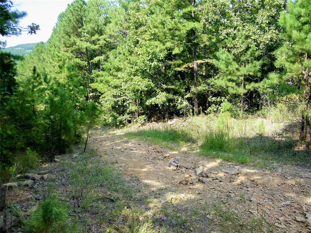 Ne 155th Street Property Photo 38