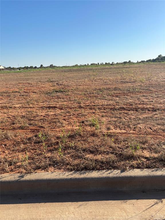 165 Cotton Field Road Property Photo 7