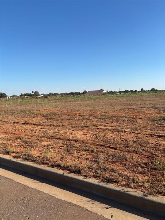165 Cotton Field Road Property Photo 8
