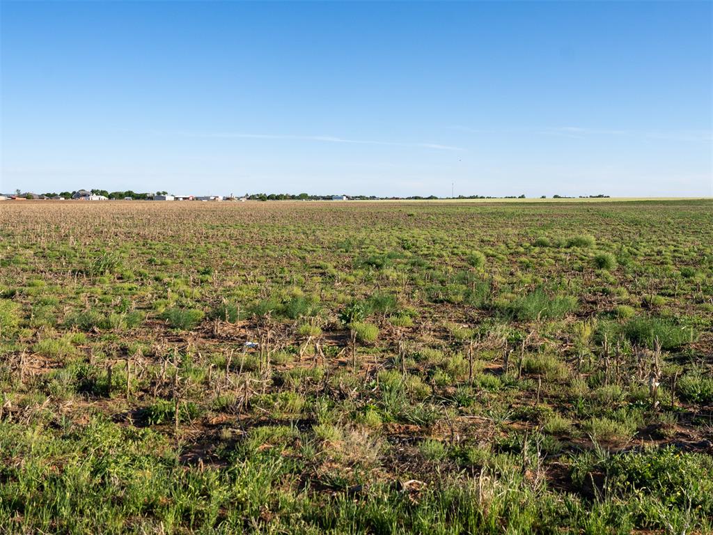 1197835 Property Photo 40