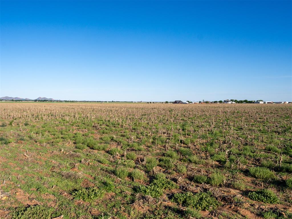 1197835 Property Photo 43