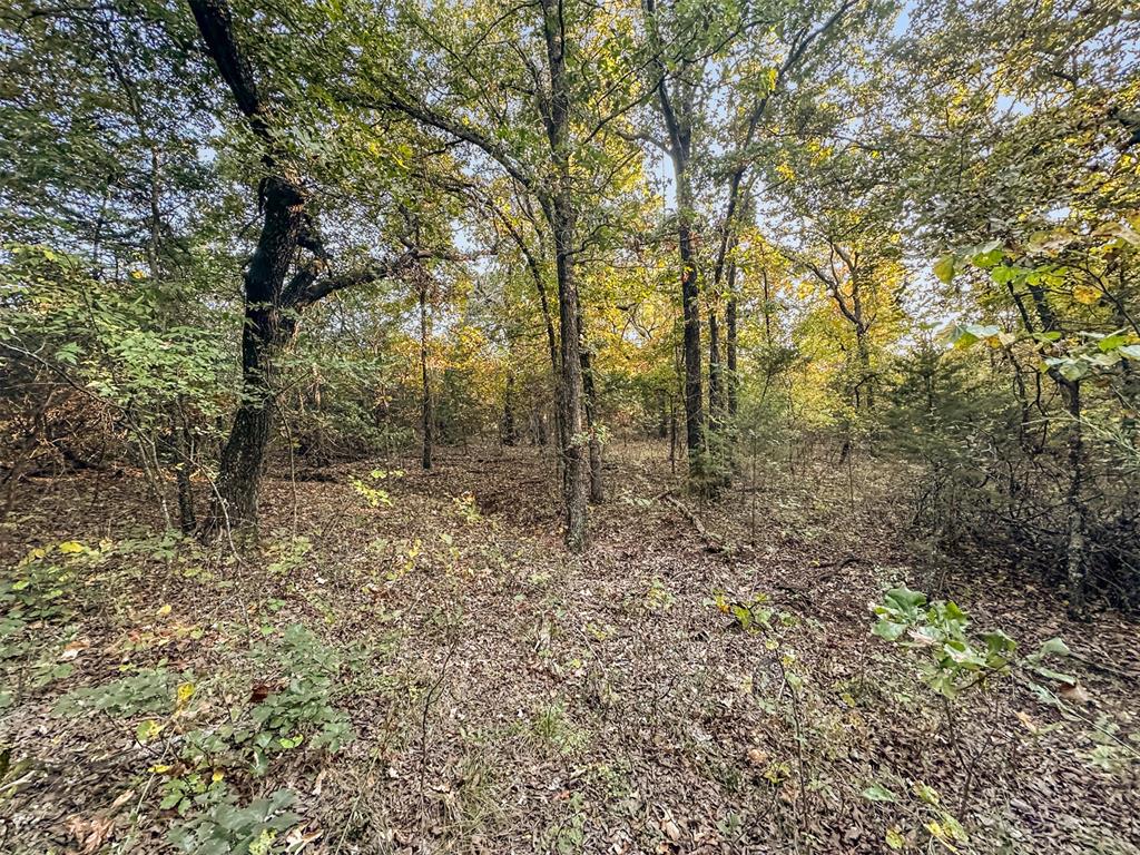 0006 E 1060 Road Property Photo 7