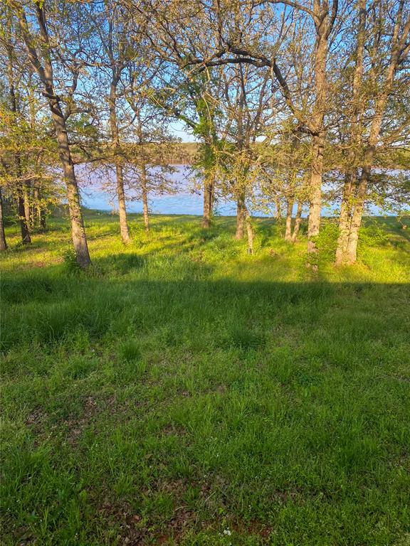 40326 Romulus Road Property Photo 7