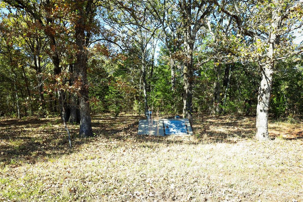 40326 Romulus Road Property Photo 28