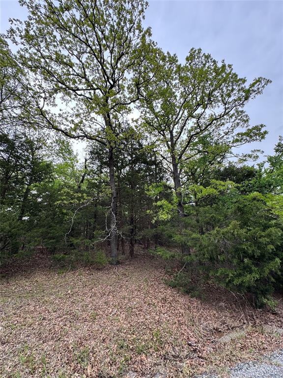 Indian Nations Drive 2 Property Photo 2