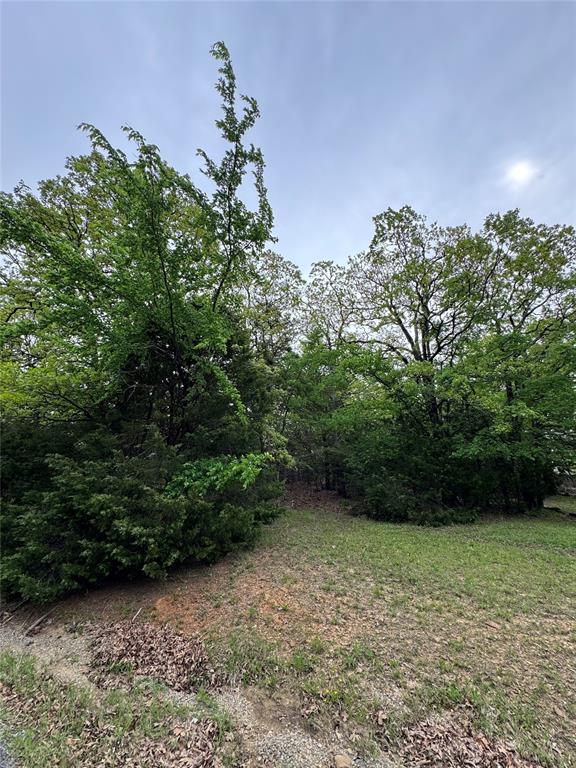 Indian Nations Drive 2 Property Photo 3