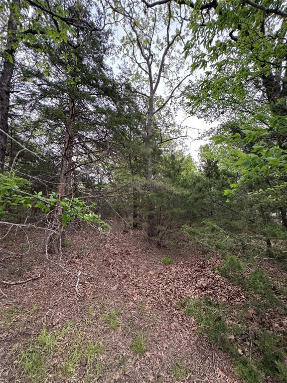 Indian Nations Drive 2 Property Photo 5