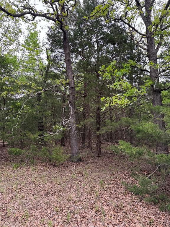 Indian Nations Drive 2 Property Photo 6