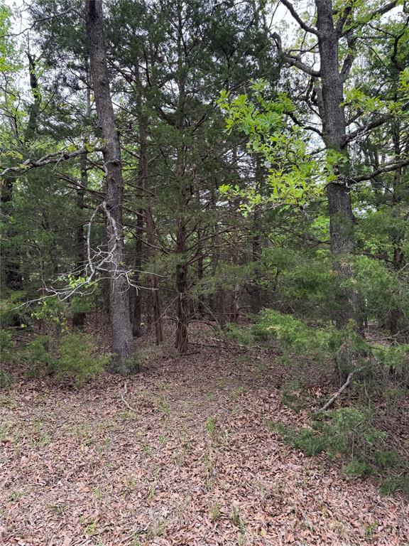 Indian Nations Drive 2 Property Photo 7