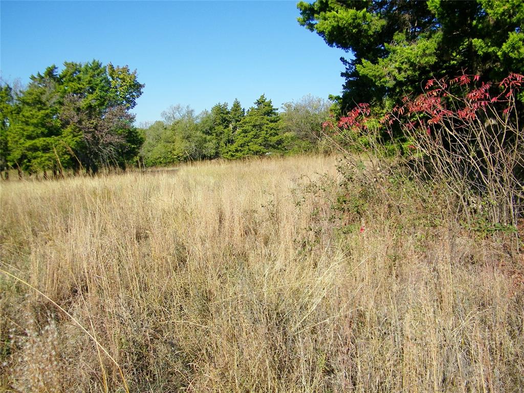 1 S County Line / Lot 1 Road Property Photo 36