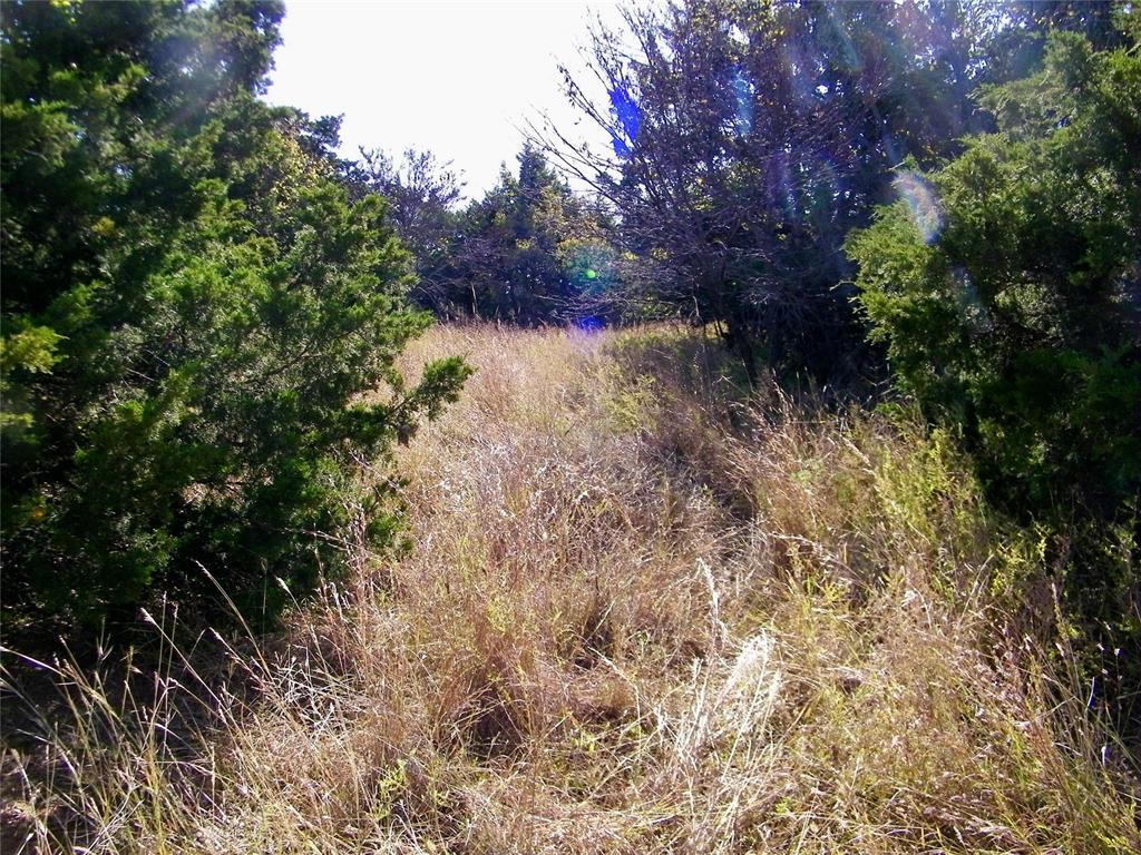 2 S County Line / Lot 2 Road Property Photo 30