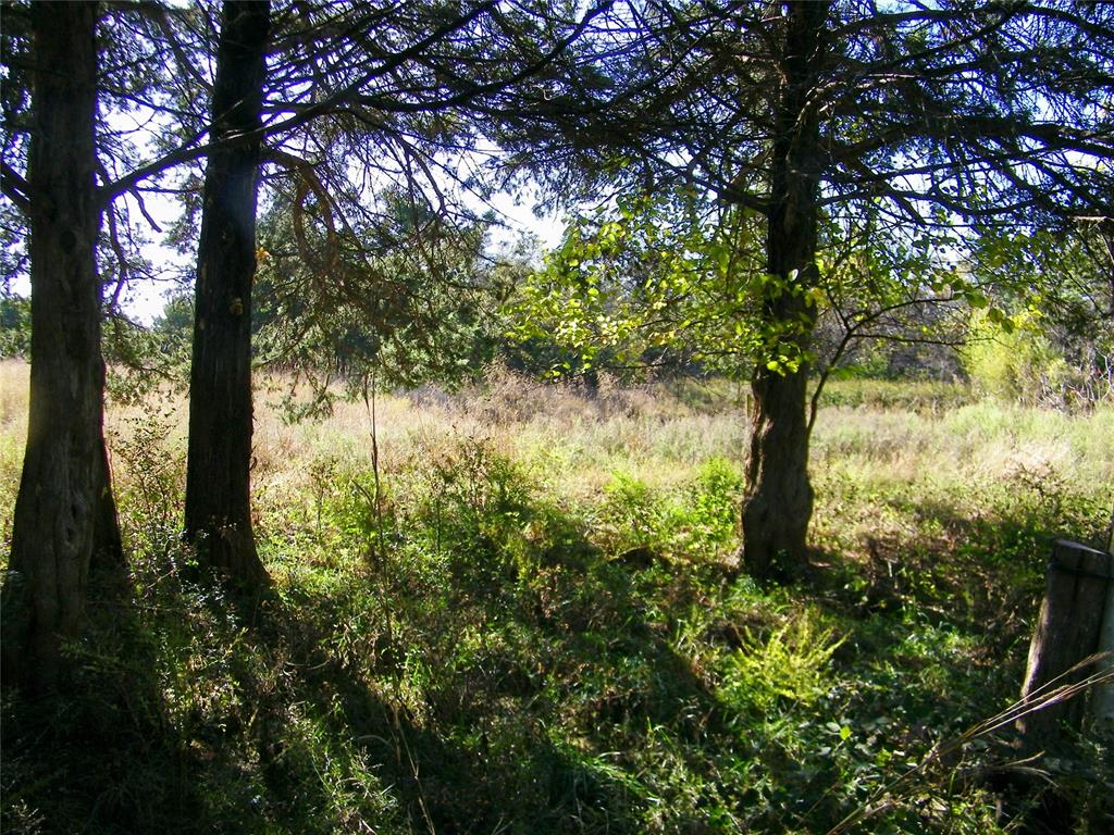 00 S County Line Road Property Photo 6