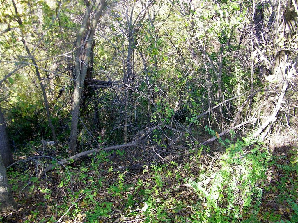 00 S County Line Road Property Photo 12