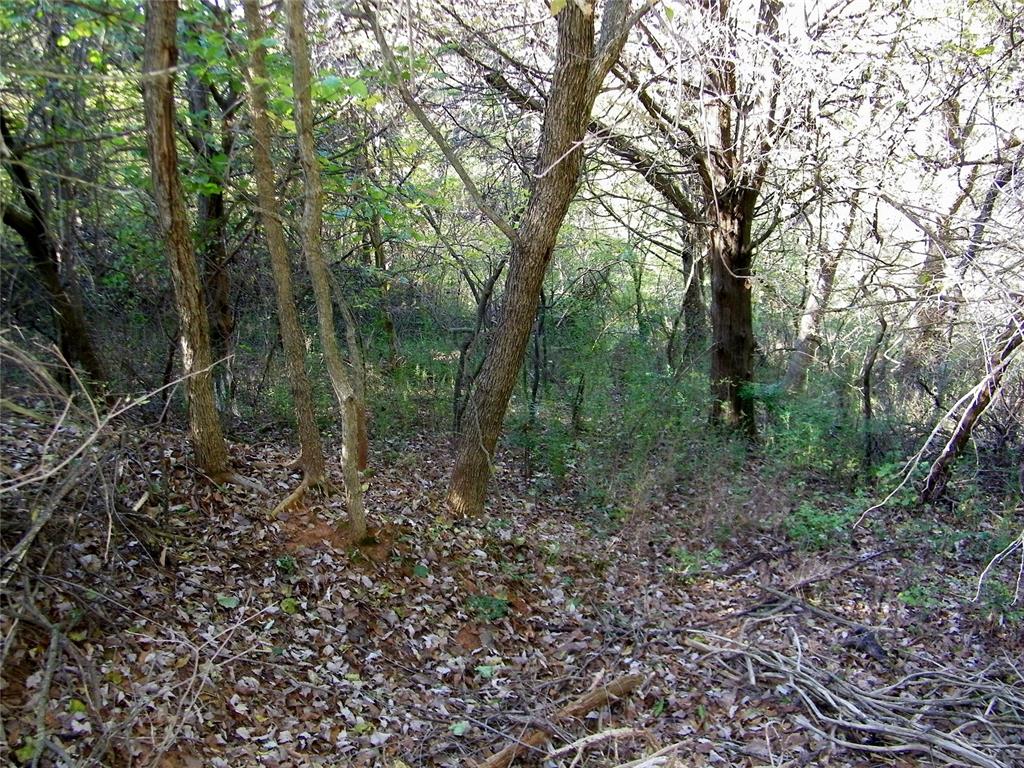 00 S County Line Road Property Photo 16