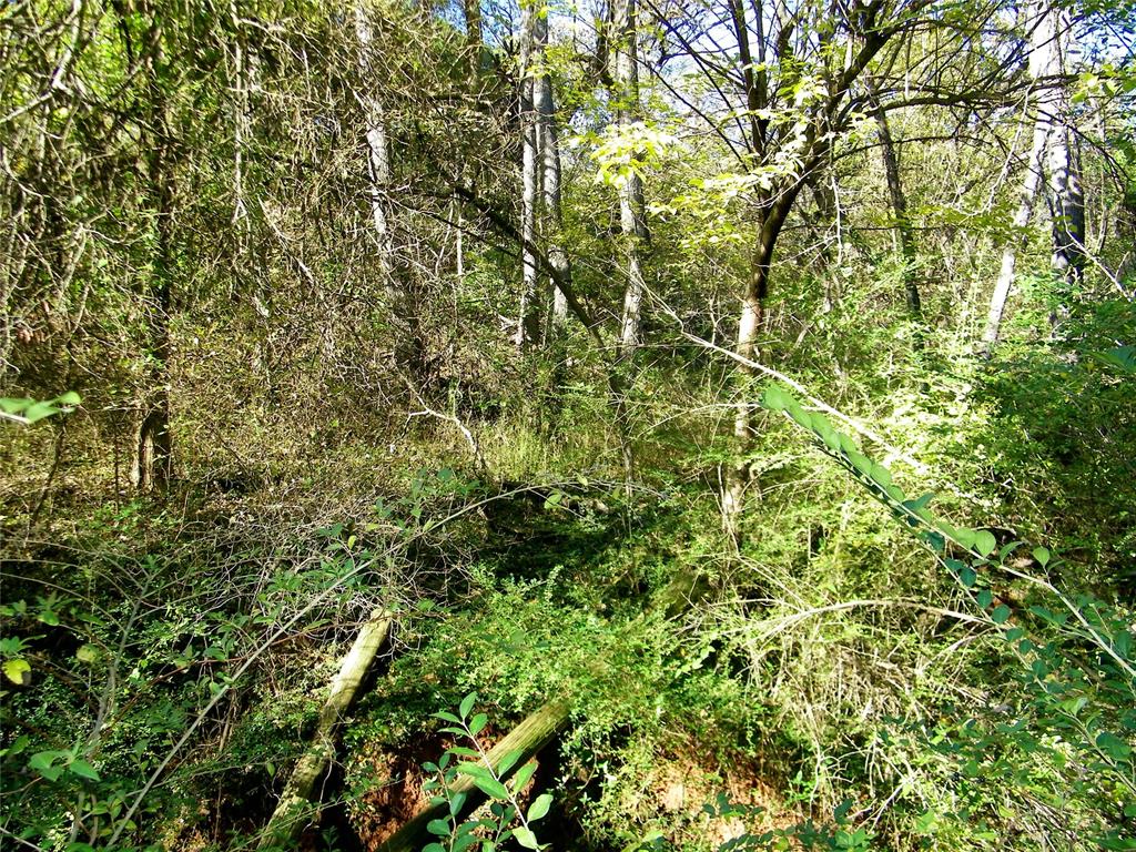 00 S County Line Road Property Photo 18