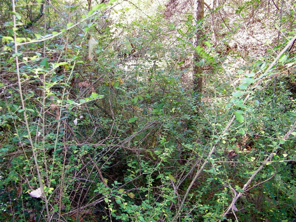 00 S County Line Road Property Photo 19