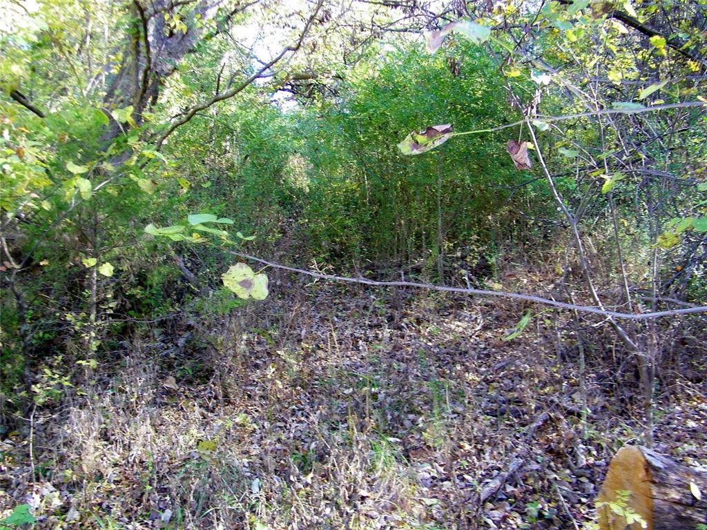 00 S County Line Road Property Photo 21