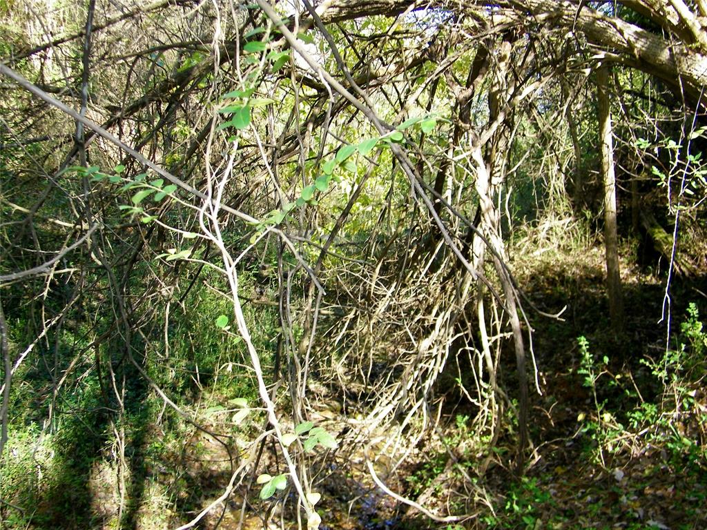 00 S County Line Road Property Photo 23