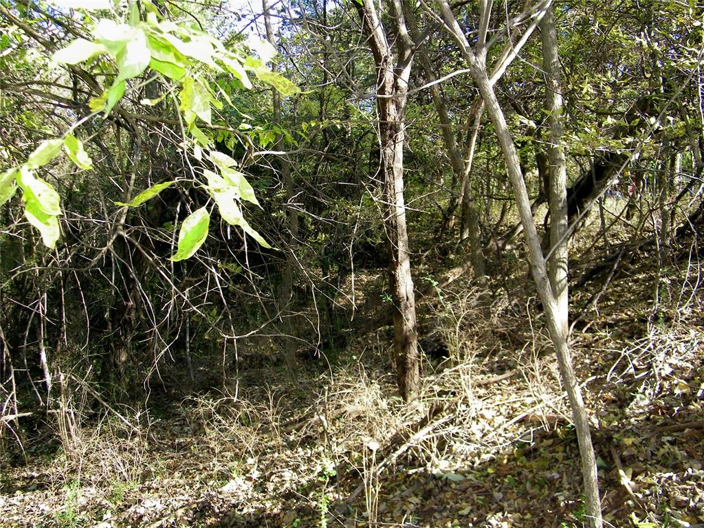 00 S County Line Road Property Photo 24