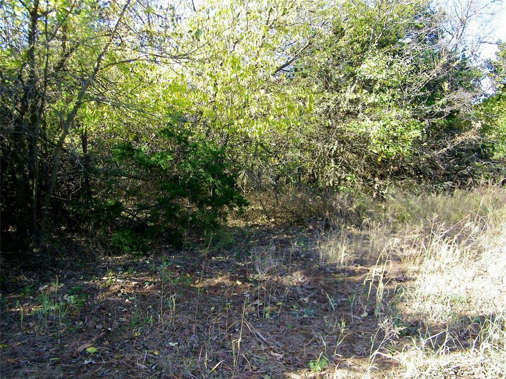 00 S County Line Road Property Photo 29