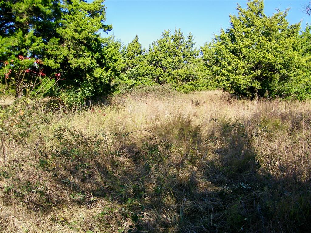 00 S County Line Road Property Photo 33
