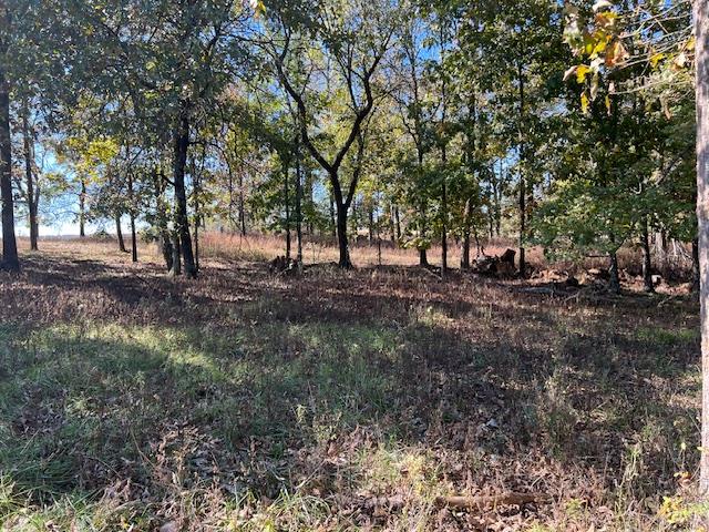 136 Deer Valley Circle Property Photo 7