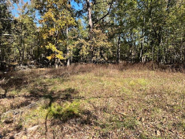 136 Deer Valley Circle Property Photo 8