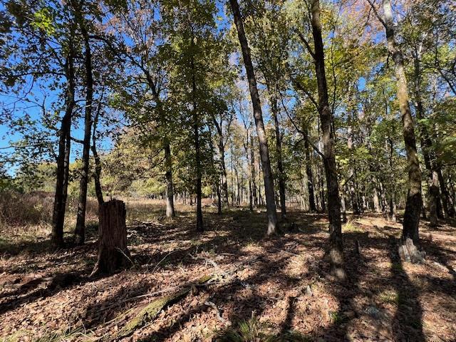 176 Deer Valley Circle Property Photo 6