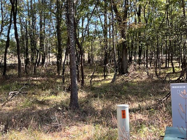 196 Deer Valley Circle Property Photo 2
