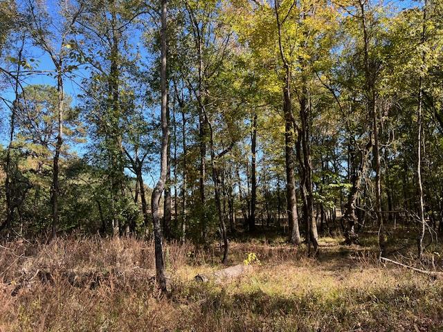 196 Deer Valley Circle Property Photo 7
