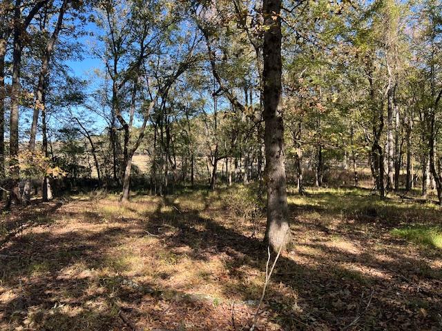 197 Deer Valley Circle Property Photo 1