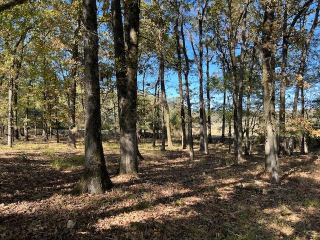 197 Deer Valley Circle Property Photo 2