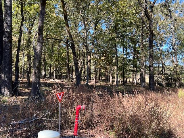 197 Deer Valley Circle Property Photo 3