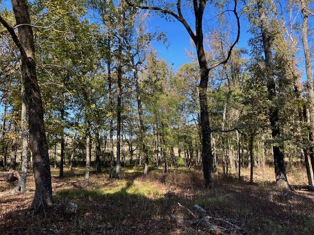 197 Deer Valley Circle Property Photo 6