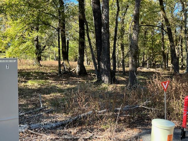 197 Deer Valley Circle Property Photo 8