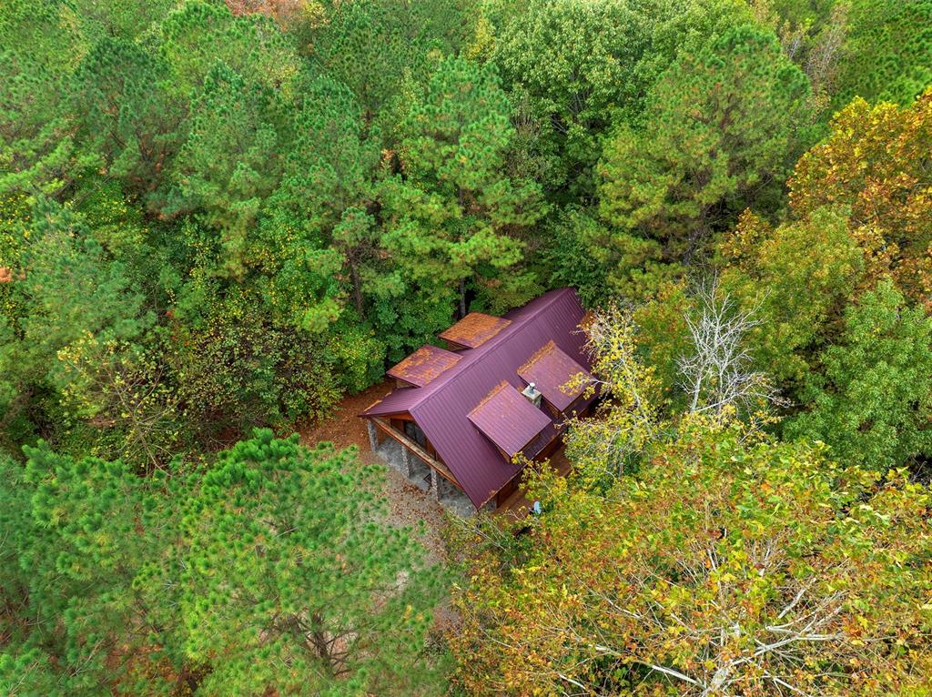 625 Deer Creek Trail Property Photo 6