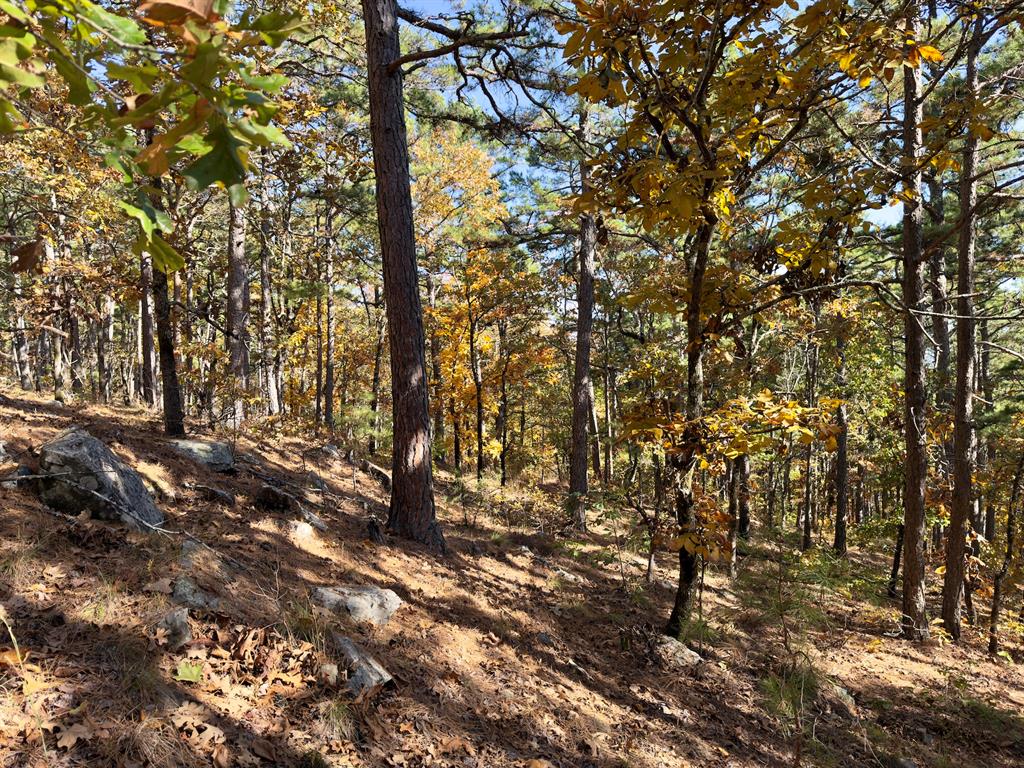 Indian Highway 144 Property Photo 5