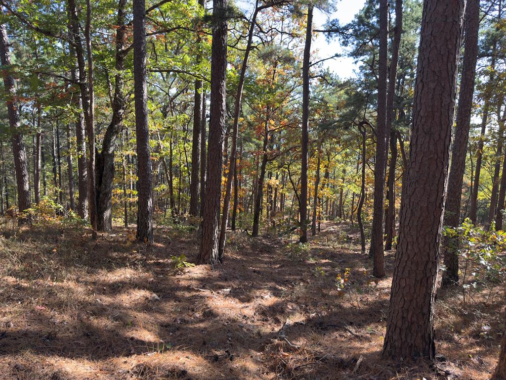 Indian Highway 144 Property Photo 6
