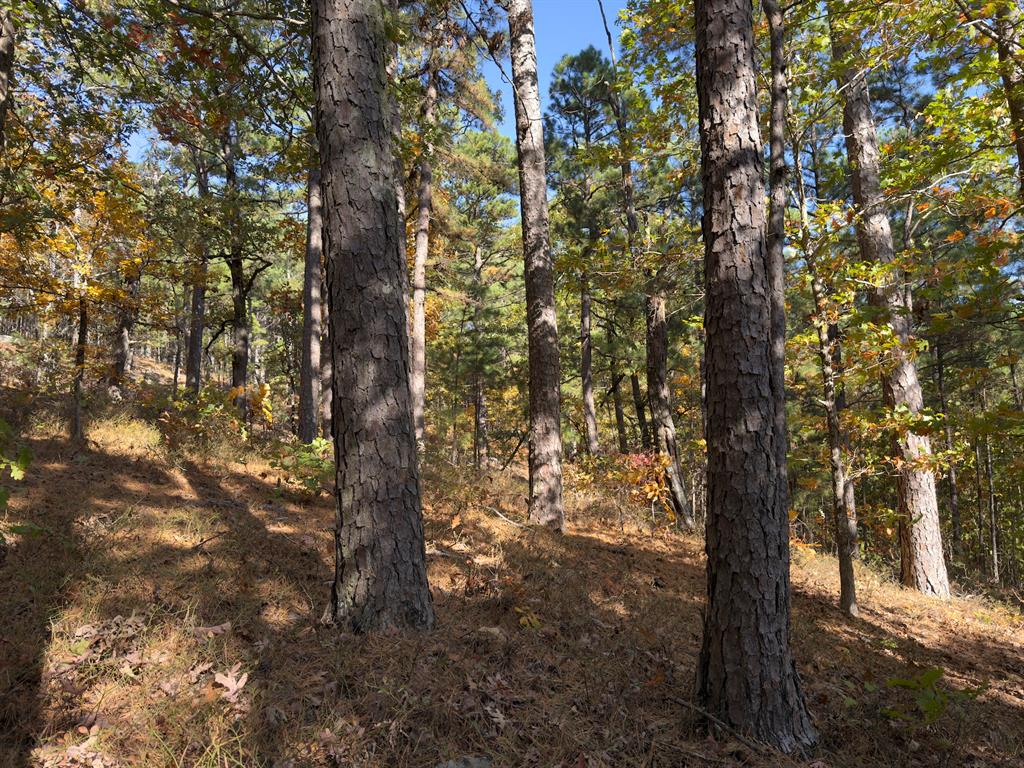 Indian Highway 144 Property Photo 8