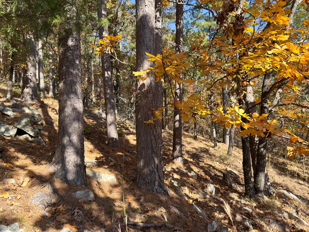 Indian Highway 144 Property Photo 9