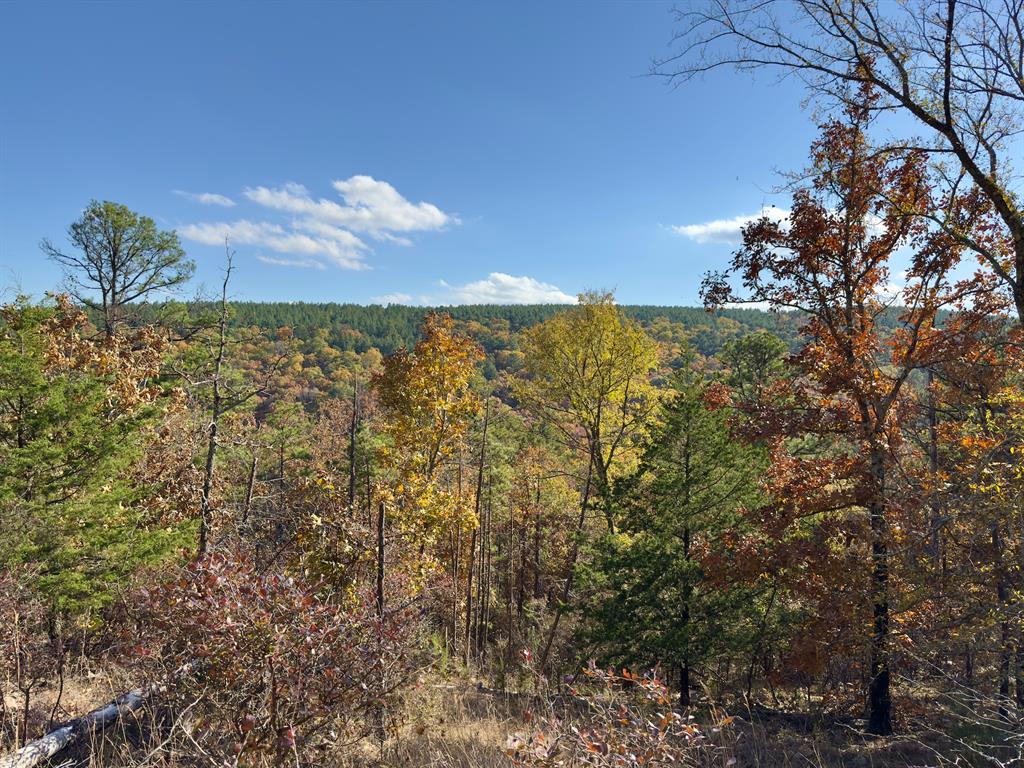 Indian Highway 144 Property Photo 10