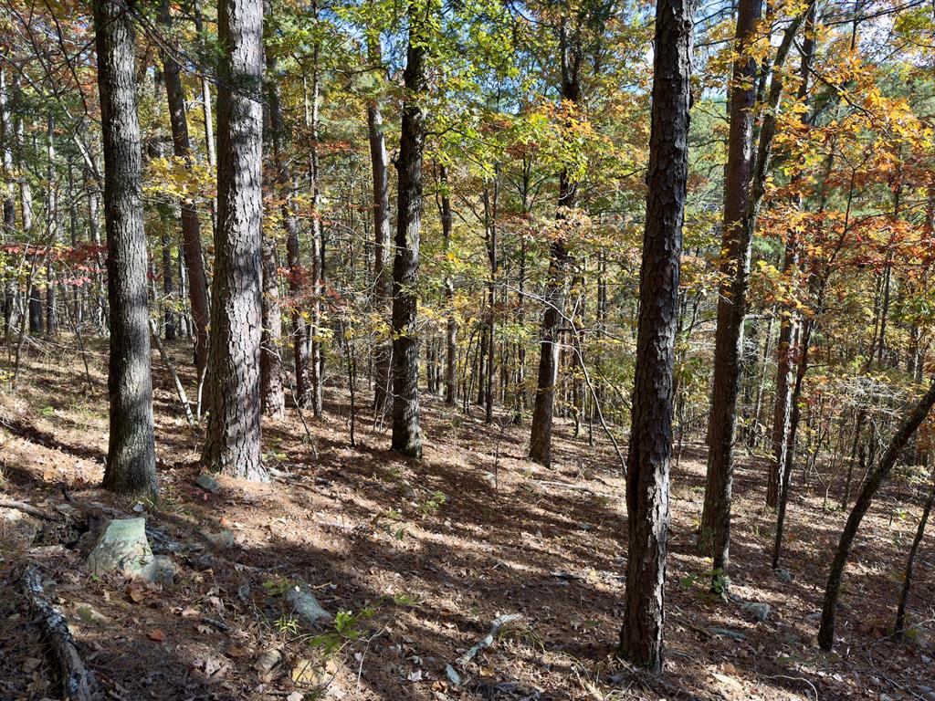 Indian Highway 144 Property Photo 11