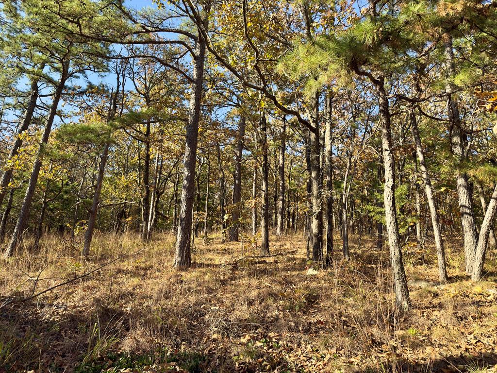 Indian Highway 144 Property Photo 13