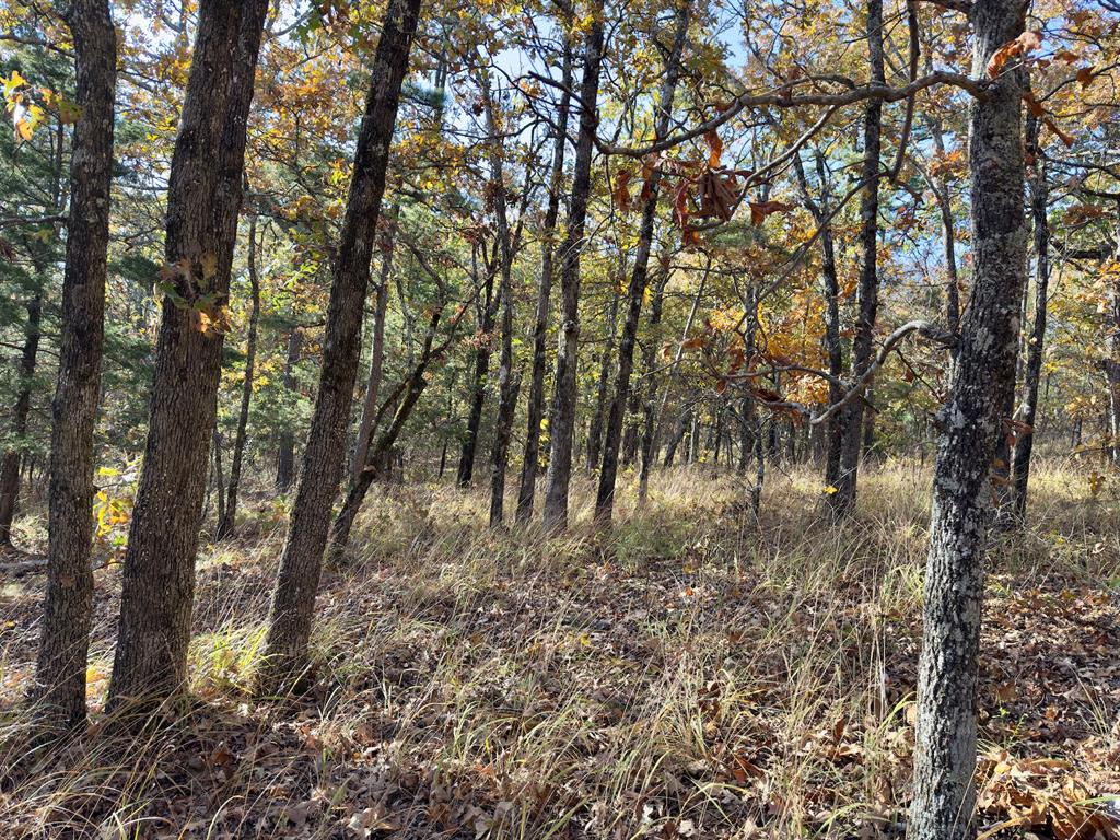 Indian Highway 144 Property Photo 15