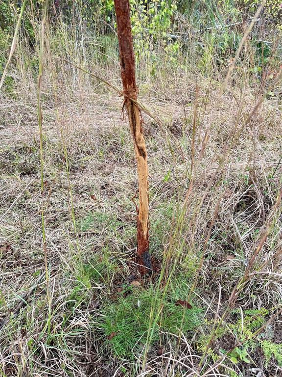 Indian Highway 144 Property Photo 17