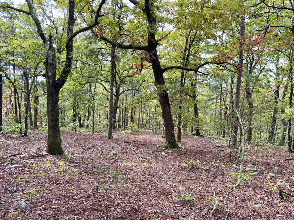 Indian Highway 144 Property Photo 20
