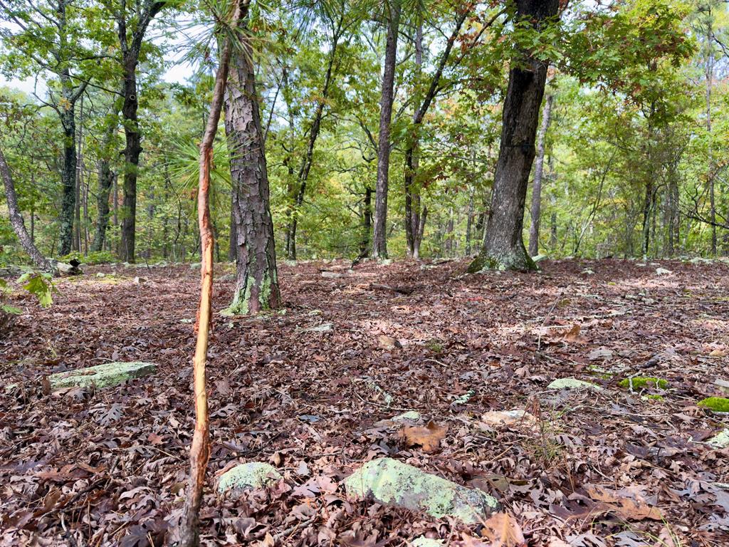 Indian Highway 144 Property Photo 21